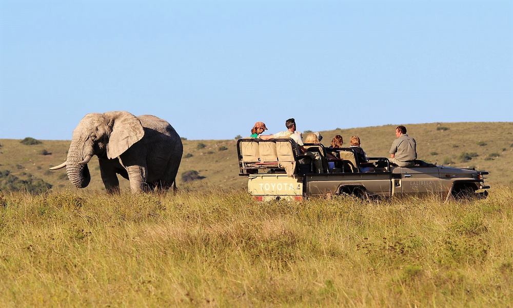 Lalibela Game Reserve