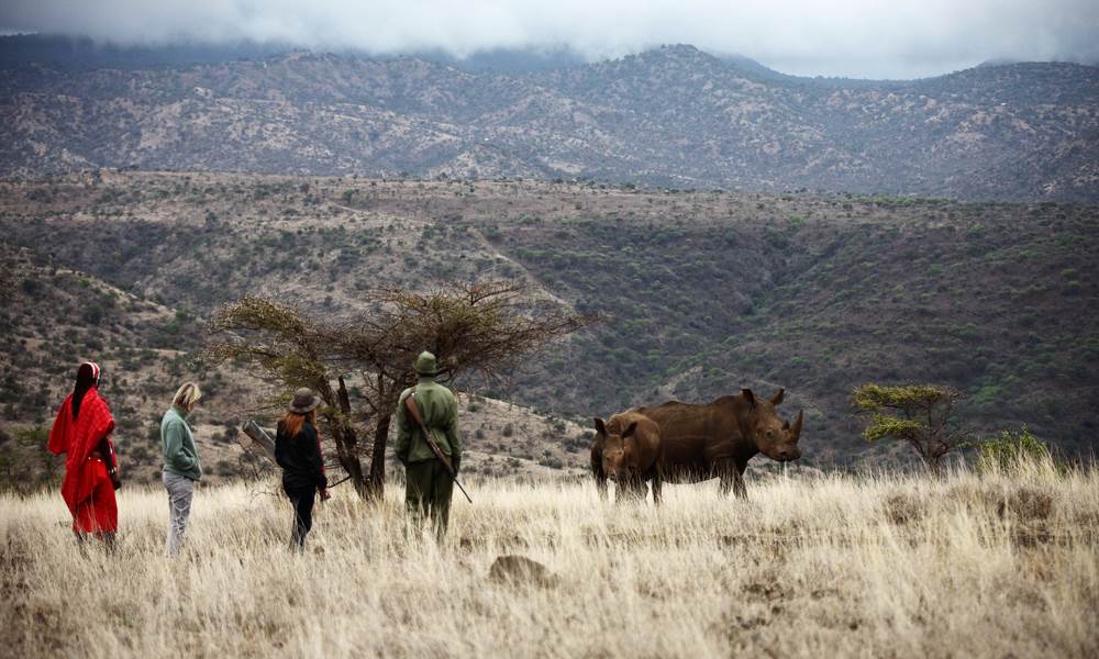 Lewa Safari Camp