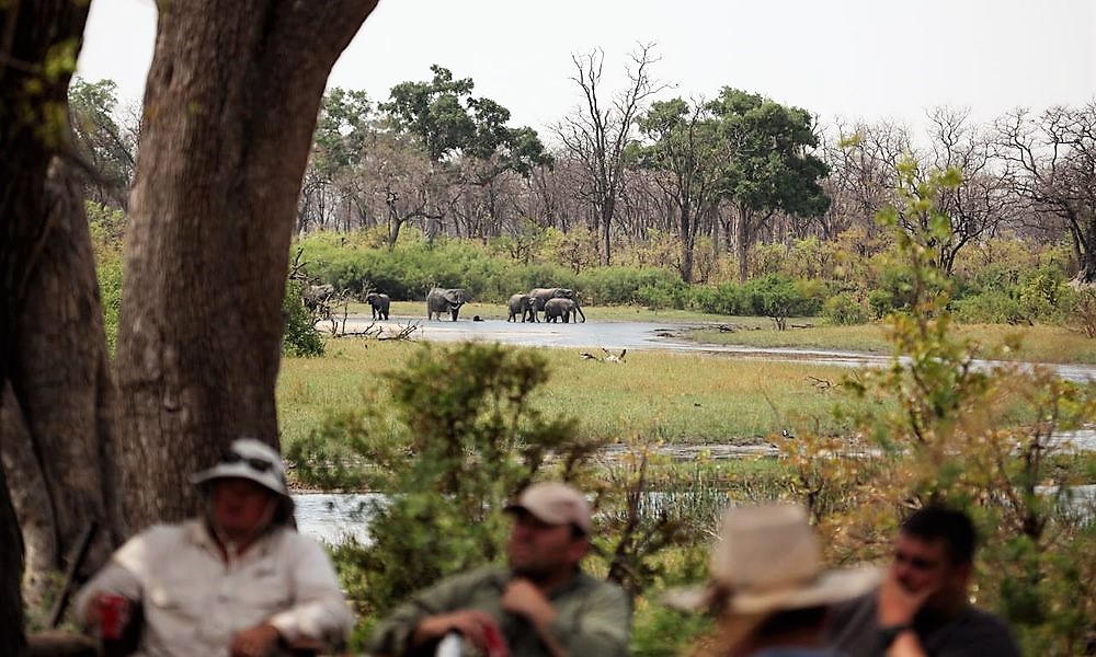 Selinda Explorers Camp