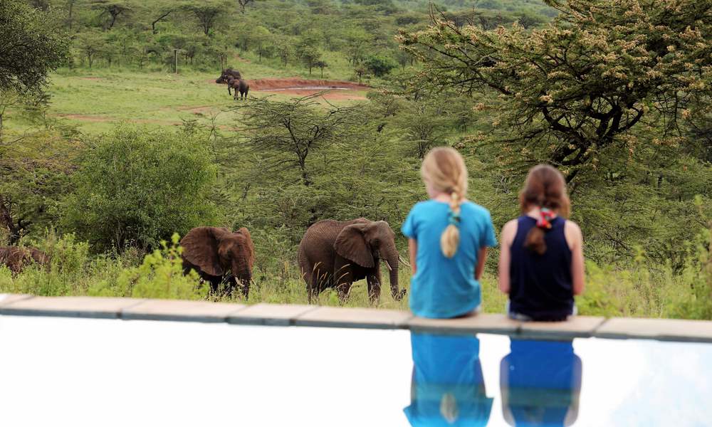 Spirit of the masai mara