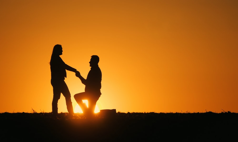 Marriage Proposal Safari